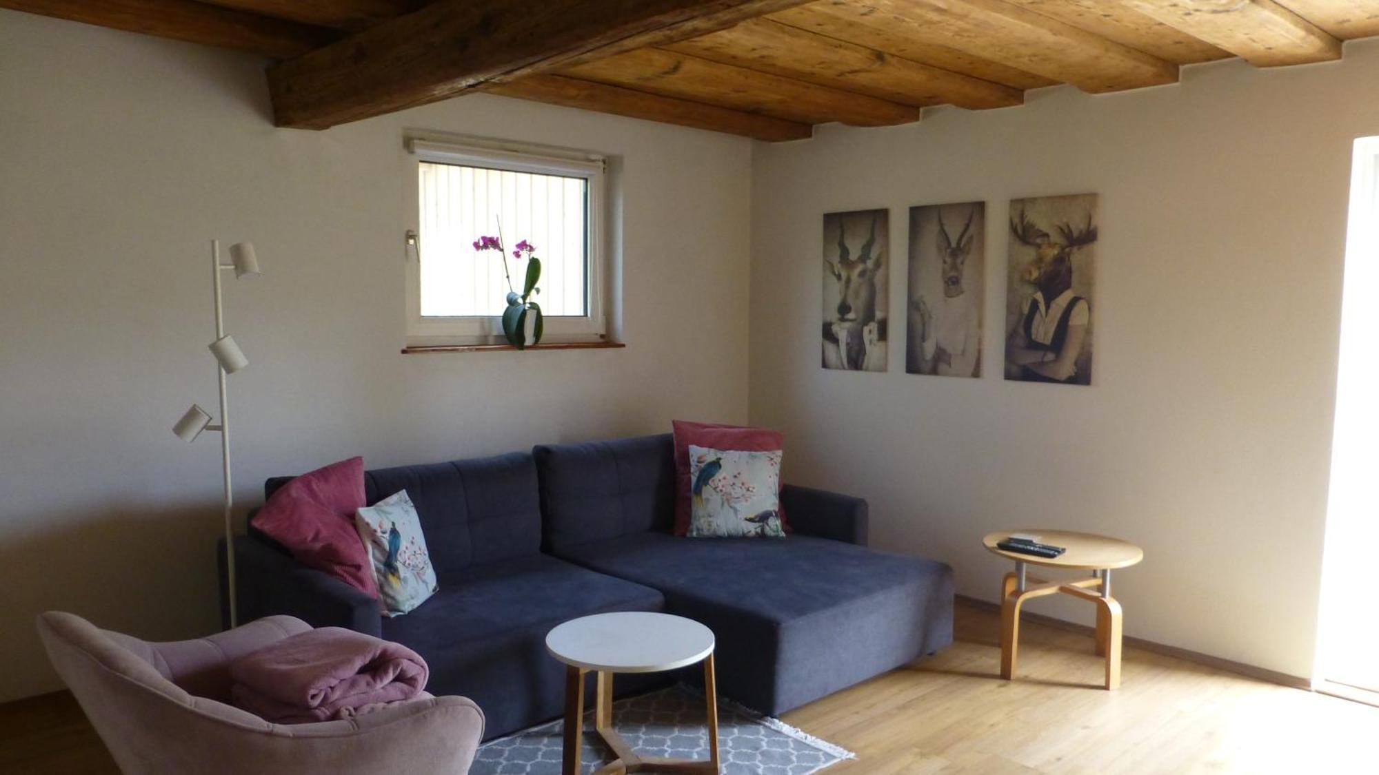 Ferienwohnung Rabennest 바드이스흘 외부 사진